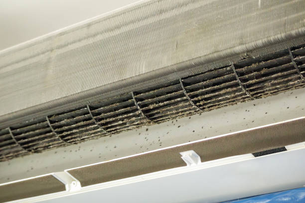 Best Commercial Air Duct Cleaning in Pleasant Grove, AL