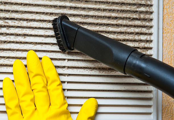 Best Air Duct Sanitization & Disinfection in Pleasant Grove, AL